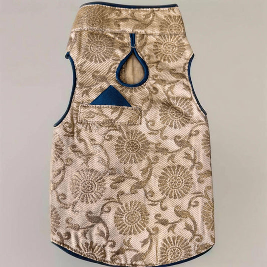 Yellow, Blue Trim Dog Sherwani