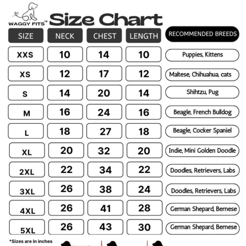 Golden Tiger Dog Sherwani