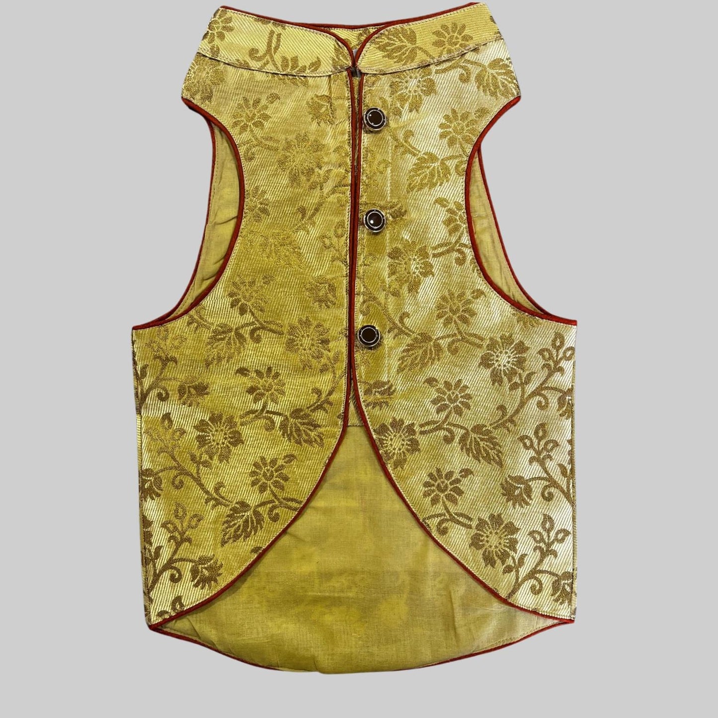 Dog Dressed in yellow sherwani