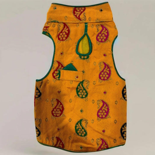 Laddoo Yellow Dog Sherwani