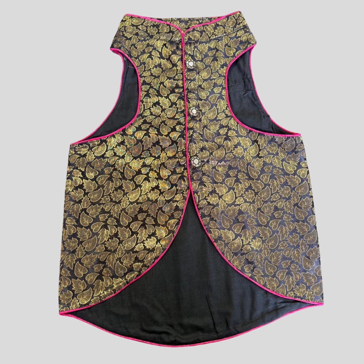 Dog in dark navy sherwani with gold detailing, perfect for Indian weddings, sangeets, and evening celebrations