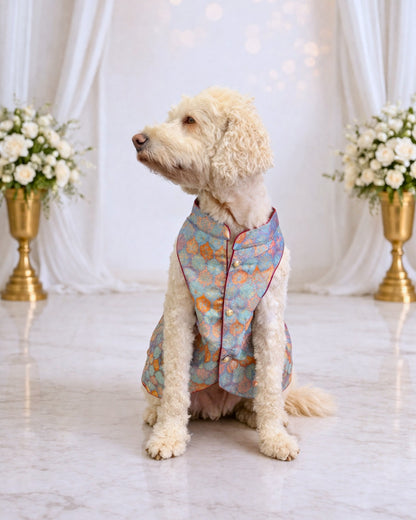 Regal Paw-Sh, Sherwani for pet, Indian dog outfit, Indian pet sherwani, pet wedding outfit, Embroidered dog Sherwani, Dog Wear