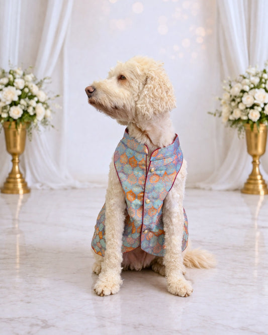 Regal Paw-Sh, Sherwani for pet, Indian dog outfit, Indian pet sherwani, pet wedding outfit, Embroidered dog Sherwani, Dog Wear