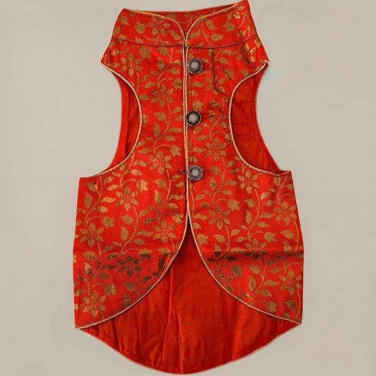 Orange Tree Dog Sherwani
