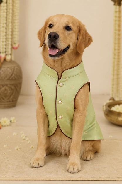 Pistachio