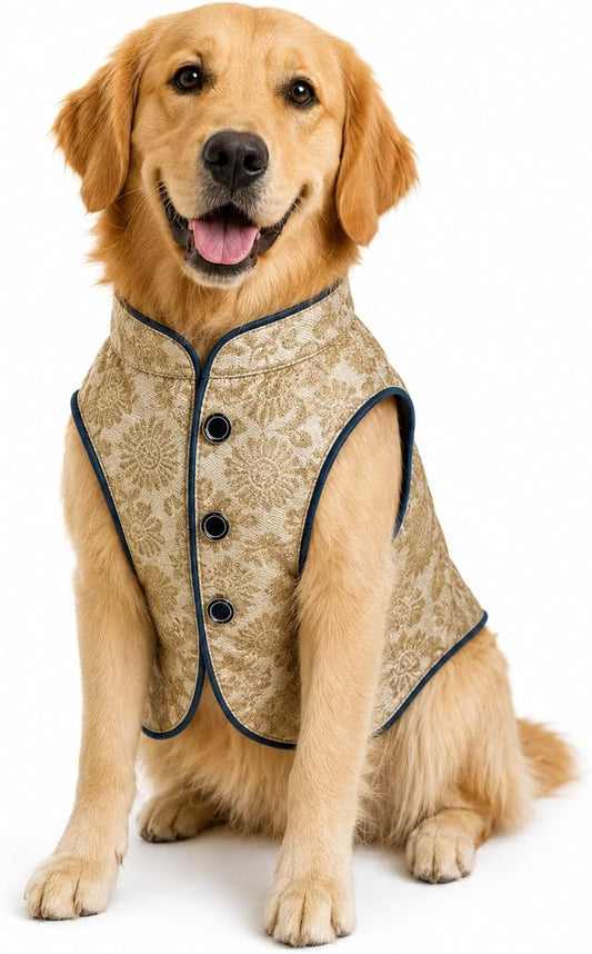 Yellow, Blue Trim Dog Sherwani