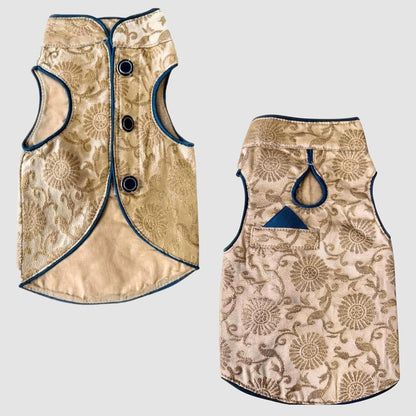 Yellow, Blue Trim Dog Sherwani