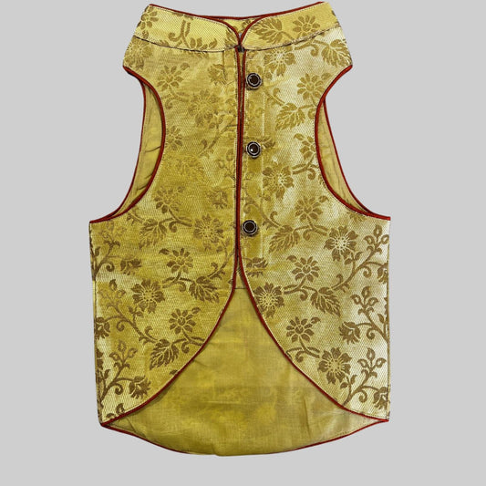 Dog Dressed in yellow sherwani 