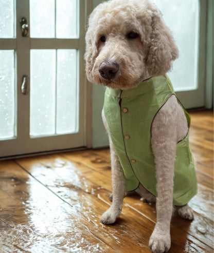 Pistachio