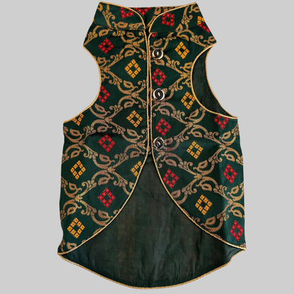 Dark Green Dog Sherwani