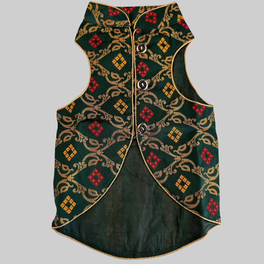 Dark Green Dog Sherwani