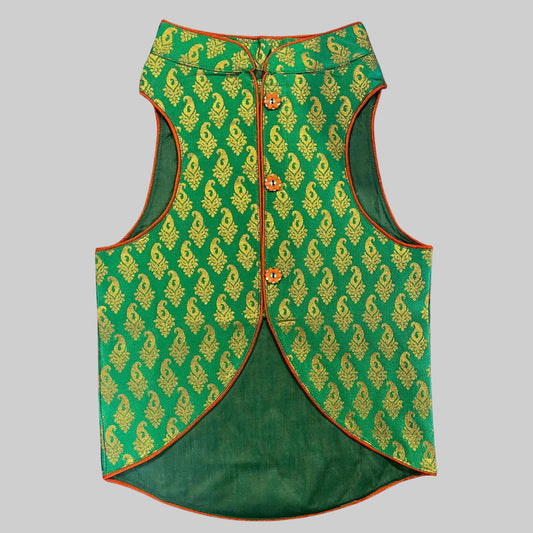 Dog wearing lime green sherwani with orange detailing and flower buttons, ideal for Indian weddings and Haldi celebrations