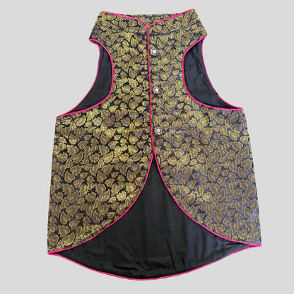 Dog in dark navy sherwani with gold detailing, perfect for Indian weddings, sangeets, and evening celebrations