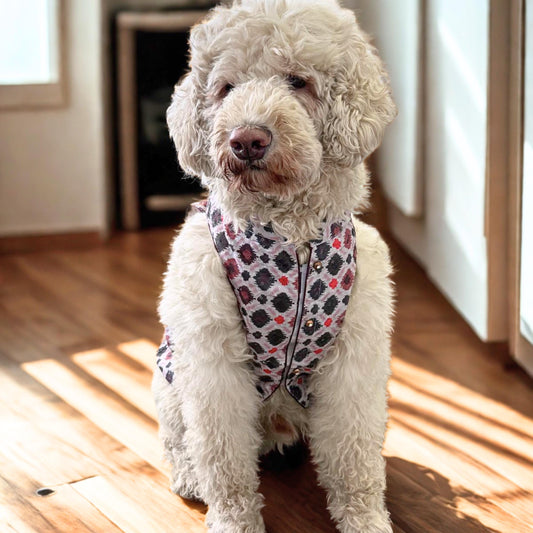 Dog wearing multi-color sherwani with mosaic-inspired patchwork, ideal for Indian weddings and cultural celebrations