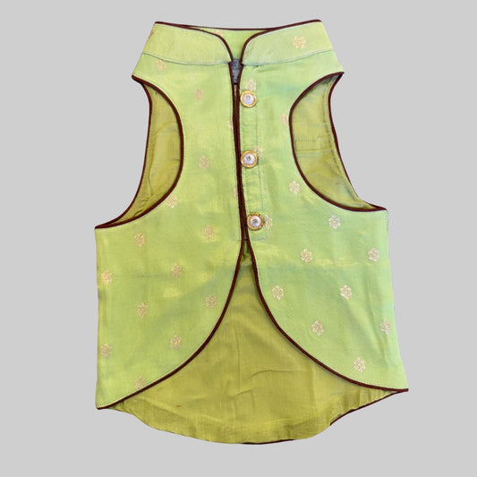 Dog wearing light pistachio green sherwani with intricate design, ideal for Indian weddings and special occasions