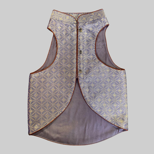 Dog wearing dark sherwani with gold zari embroidery, perfect for sangeet, receptions, and Indian evening celebrations