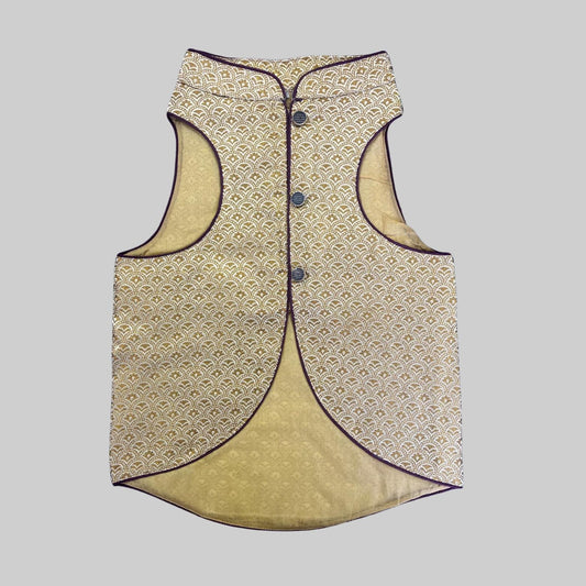 Dog wearing bold sherwani with gold and multicolor accents, ideal for Indian weddings and special occasions